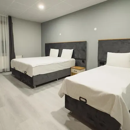 Altinova Sakarya Hotel *